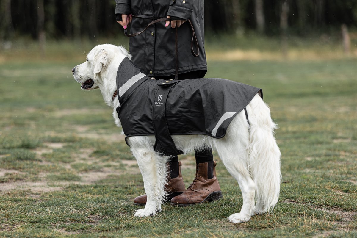 Jacson Peggy Regntäcke Hund Svart - Bild 3
