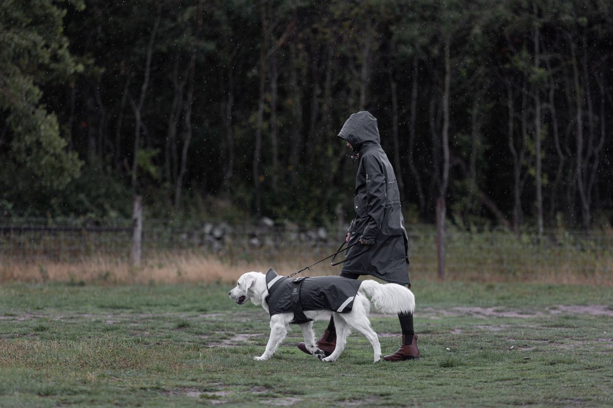 Jacson Peggy Regntäcke Hund Svart - Bild 4