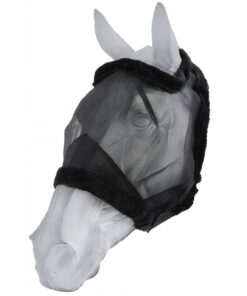 Flughuva utan öronskydd