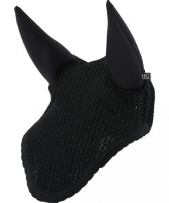 Prisvärd soundless flughuva