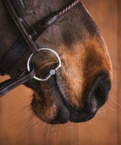 Alternative view of Fager Hanna Titan Fasta Ringar