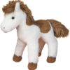 American Paint Horse