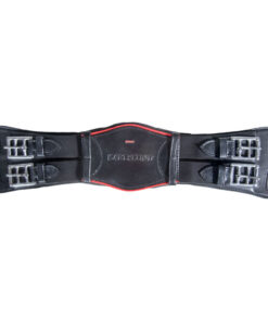 Anatomisk dressyrgjord