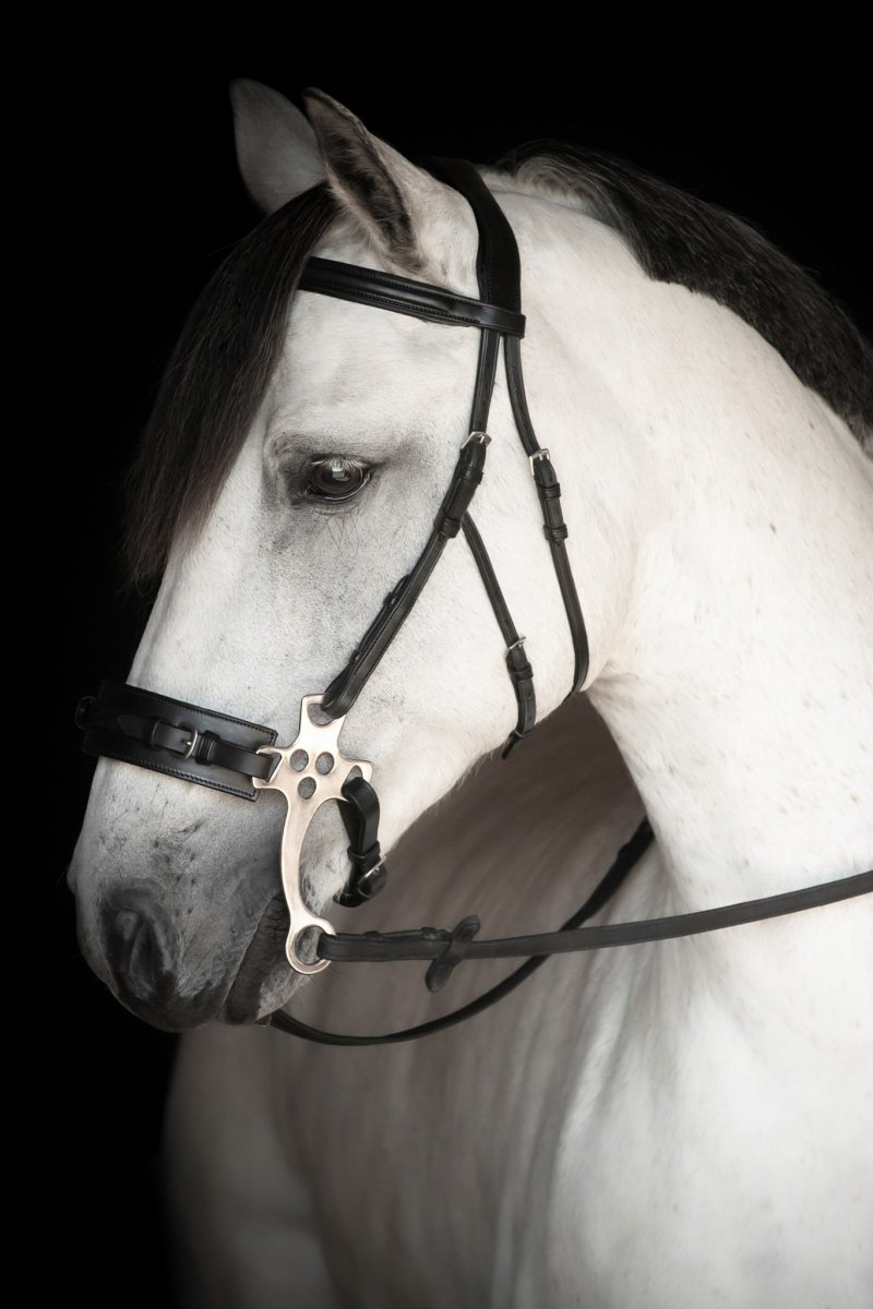 Lippo Hackamore Träns Chester Svart - Bild 2