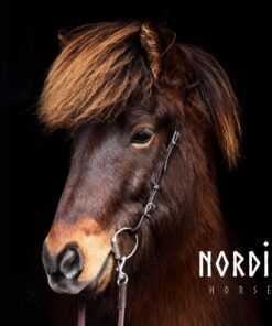 Huvudlag utan pannband