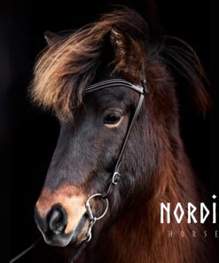 Huvudlag med pannband