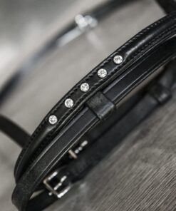 Aachennosgrimma med stenar