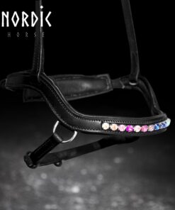 Anatomisk nosgrimma med stenar