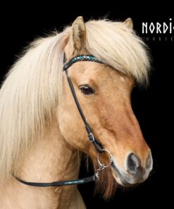 Alternative view of Nordic Horse Huvudlag Grön