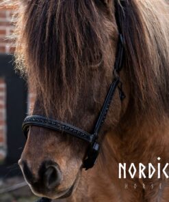Alternative view of Nordic Horse Lädergrimma All Black
