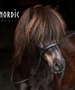 Nordic Horse Sidepull All Black - Bild 3