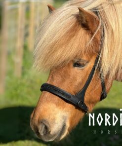 Nordic Horse Sidepull All Black - Bild 4