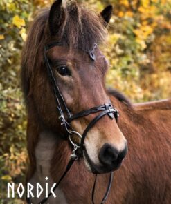 Alternative view of Nordic Horse Huvudlag Mönster 15