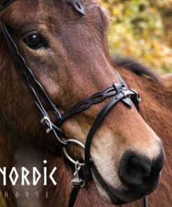 Aachennosgrimma med mönster