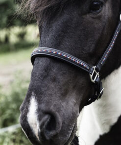 Alternative view of Nordic Horse Lädergrimma med stenar i isländska färger